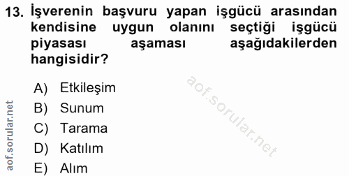 Soru 13