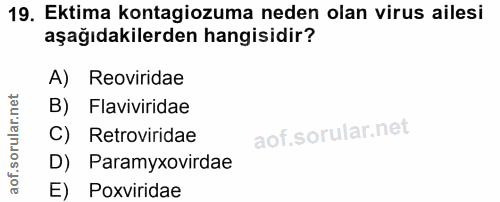 Soru 19