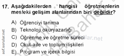 Soru 17