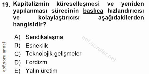 Soru 19