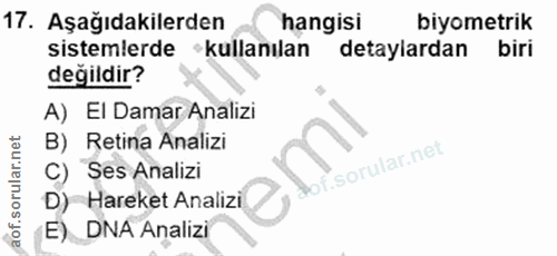 Soru 17