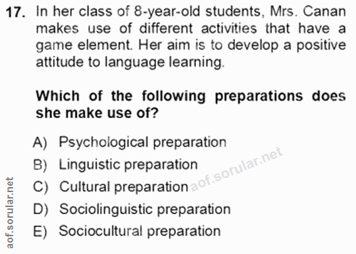 Soru 17