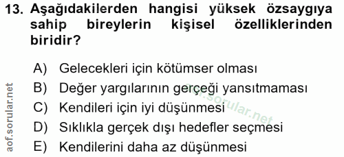 Soru 13
