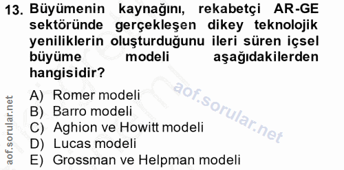 Soru 13