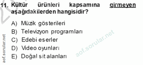 Soru 11