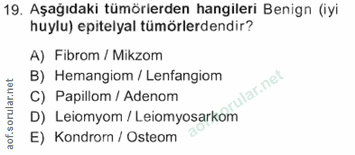 Soru 19