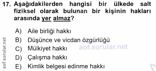 Soru 17