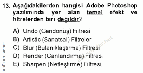 Soru 13