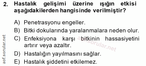 Soru 2