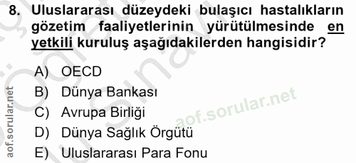 Soru 8