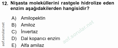 Soru 12