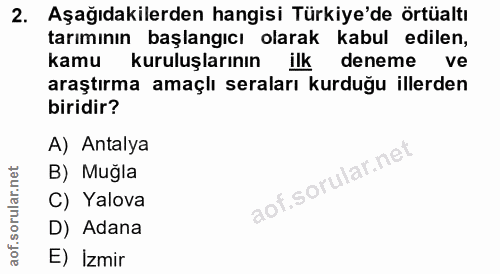 Soru 2