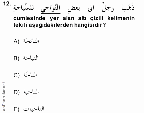 Soru 12