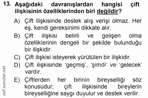 Soru 13