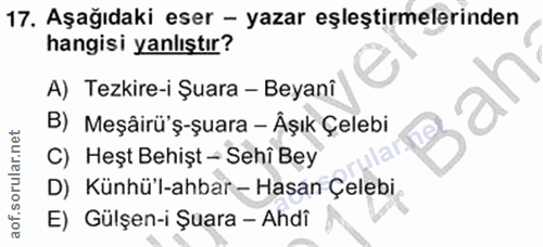 Soru 17