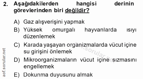 Soru 2