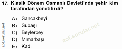 Soru 17