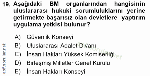 Soru 19