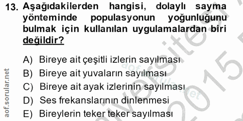Soru 13