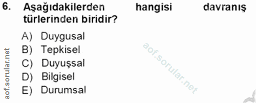 Soru 6