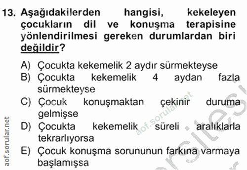 Soru 13