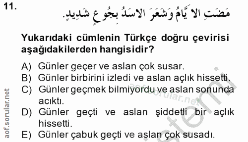 Soru 11