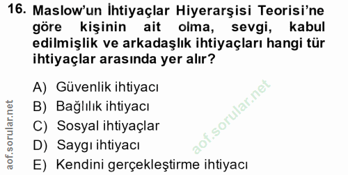 Soru 16