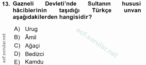Soru 13