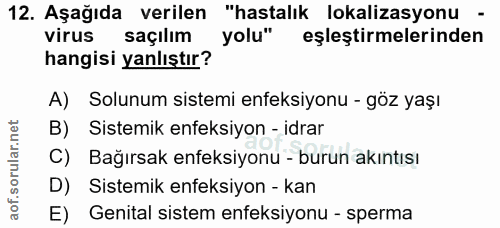 Soru 12