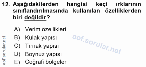 Soru 12