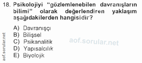 Soru 18