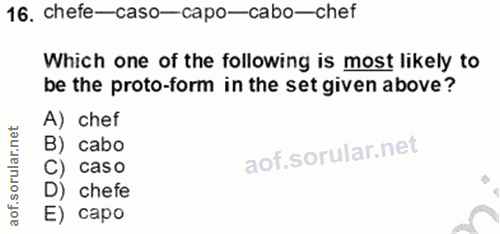 Soru 16