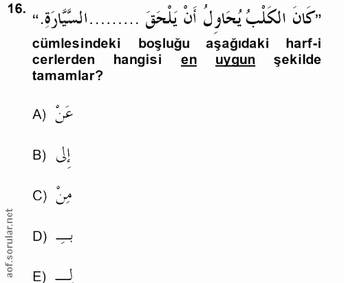 Soru 16