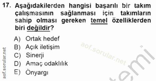 Soru 17
