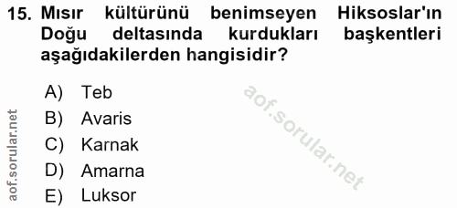 Soru 15