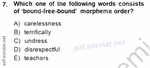 Soru 7