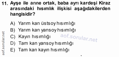 Soru 11