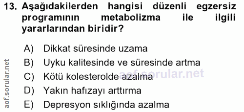 Soru 13