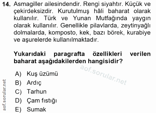 Soru 14