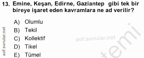 Soru 13