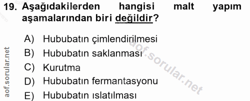 Soru 19