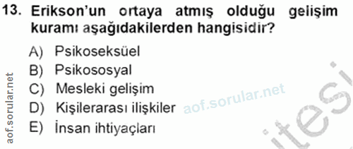 Soru 13