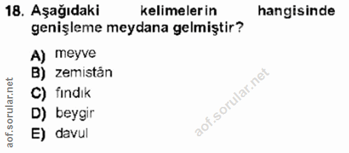 Soru 18
