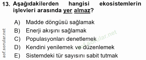 Soru 13