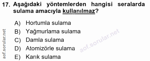Soru 17