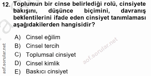 Soru 12