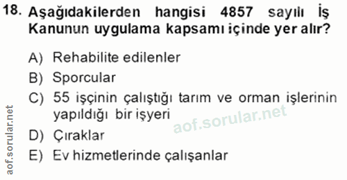 Soru 18