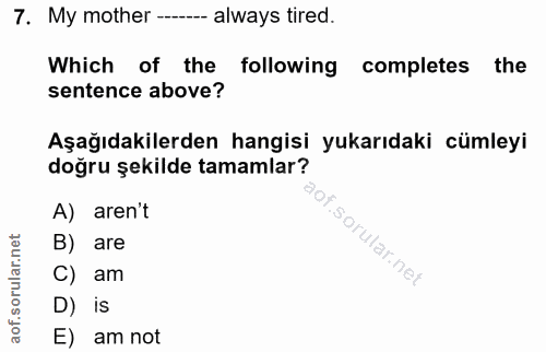 Soru 7
