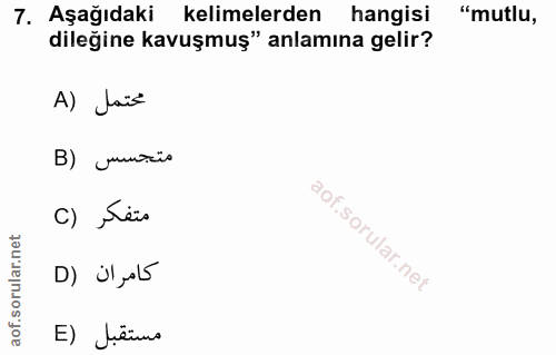 Soru 7
