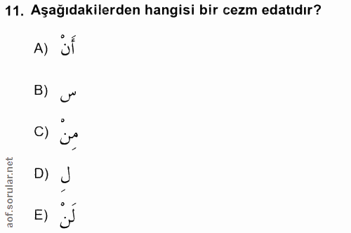 Soru 11
